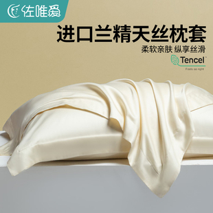真丝枕头套夏季 精品高级感天丝枕套一对装 冰丝48cmx74cm枕芯内胆