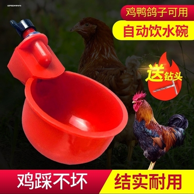 鸡鸭鹅家禽自动喂水器喂鸡水桶鸭鹅自动饮水器配件鸽子鸡雏饮水碗