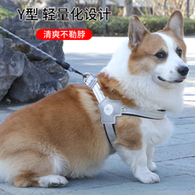 狗狗牵引绳宠物胸背带遛狗绳中小型柴犬比熊泰迪柯基狗链子背心式