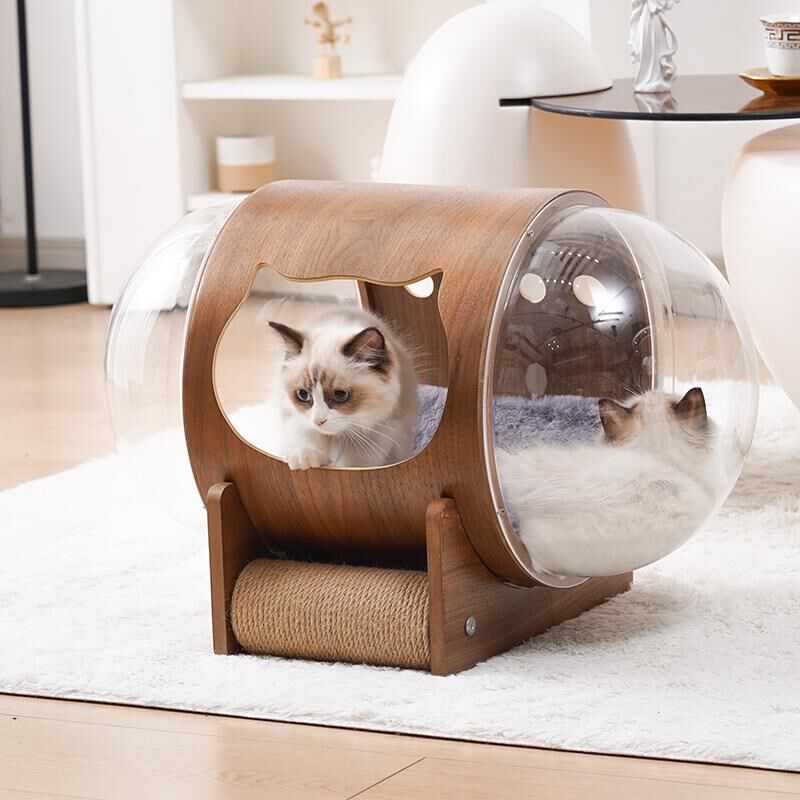 猫咪透明太空舱猫窝猫爬架实木亚克力猫屋胶囊木质猫产房四季通用