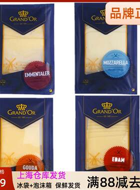 荷兰格兰特大孔干酪片160g芝士片奶酪片三明治原料高达味原制奶酪