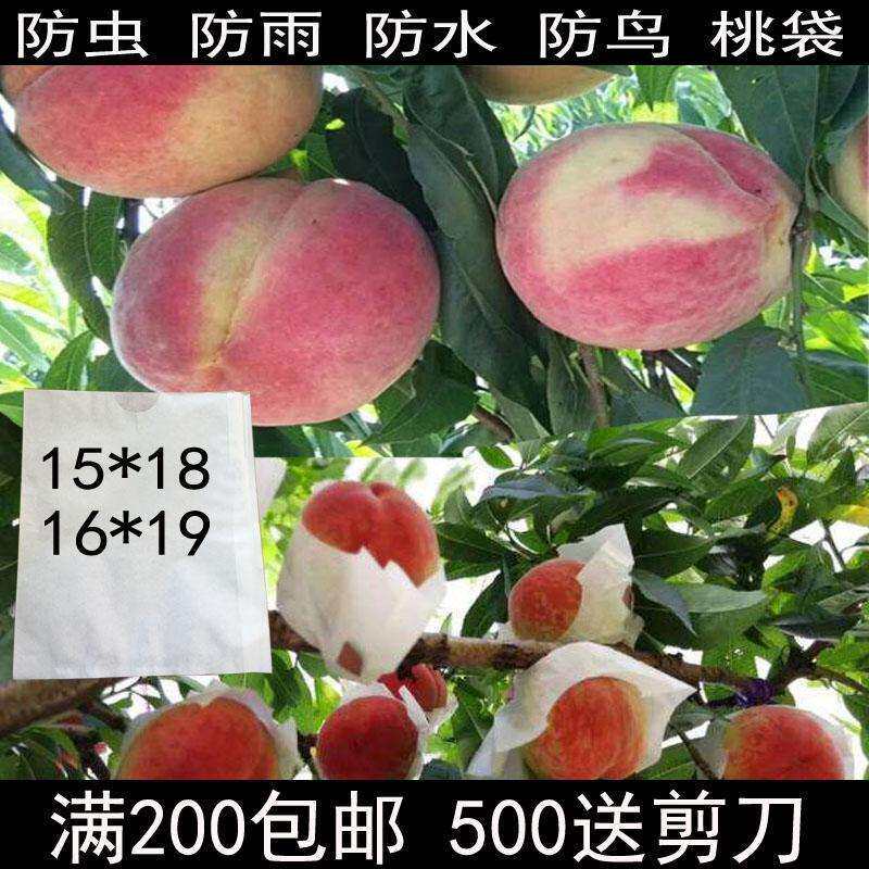 桃子套袋映霜红冬雨桃榴橙子石柑防防虫橘白色KOB枇杷梨套袋