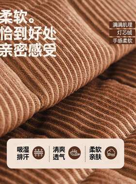 严选新品2052灯绒皮沙发垫飘芯窗tb-94506垫直排一片固式坐垫子定