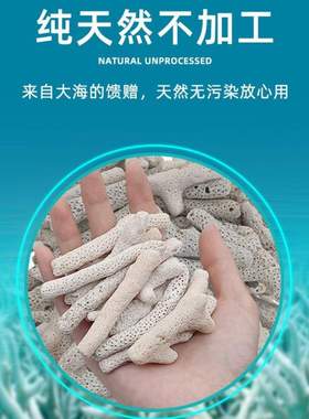 大块珊瑚骨滤材珊瑚石水族锦鲤鱼缸鱼池过滤材料造景