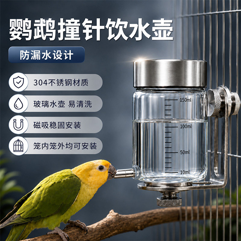 新款鹦鹉撞针水壶鸟用饮水器磁吸玻璃八哥鸽子自动喂水器鸟笼配件