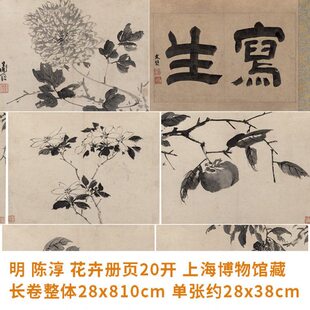 1:1明 陈淳 花卉册页20开真迹复制品28x810cm上海博物馆藏画