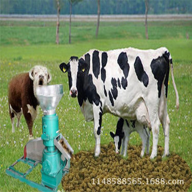 家用电带动120型鸡鸭鹅猪饲料颗粒机出口欧盟产养殖鱼饲料制粒机