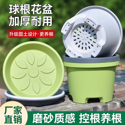 加厚矮款树脂花盆塑料专用大号盆