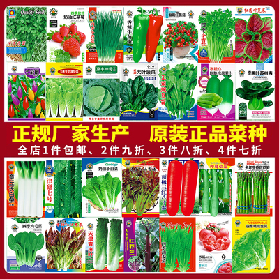 蔬菜种子香菜番茄辣椒菠菜黄瓜青菜籽生菜萝卜白菜四季播种孑大全