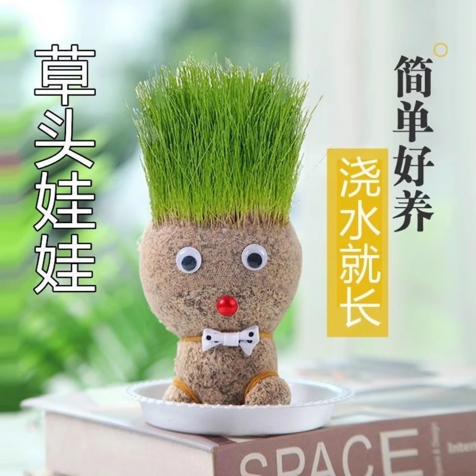 草头娃娃头上长草人小盆栽种草