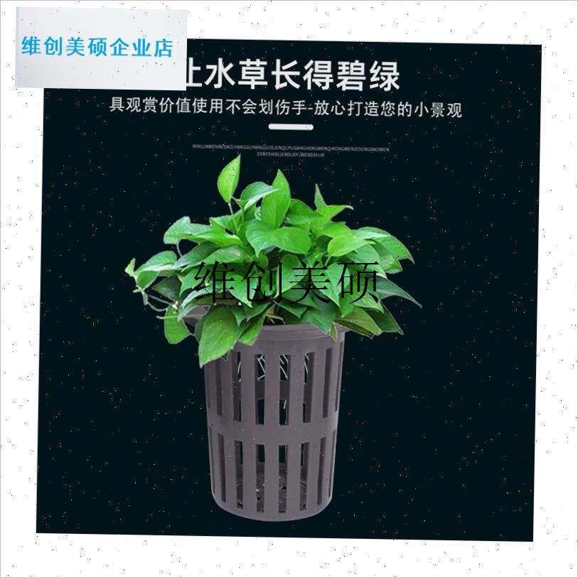 l鱼缸水培植物挂式定植篮绿萝铜钱草水生植物Q红薯苗培育固定架