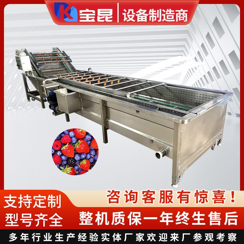 全自动枇杷果洗果机酸菜海产品清洗脱盐设备商用高压喷淋洗菜机