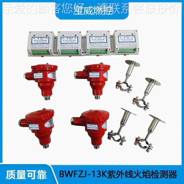 玻璃窑炉焰检火器BW1FZJ-BWFZJ-1测K