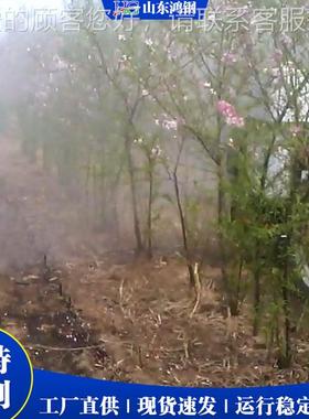 拖拉机机带动扇形弥雾 方位无死角喷洒设 果园园KMW全林打备药机