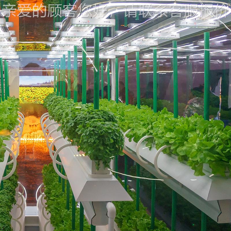 创农科技无土栽培植物工厂水培农业设备技术蔬菜大棚育苗工厂定制