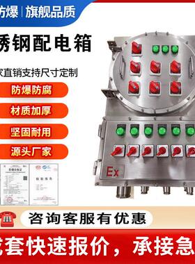 防爆配电箱不锈钢空箱检修IIC按钮控制箱IIB照明开关箱正压柜定做