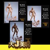 已到货 风模玩 Wind toys 超可动男素体