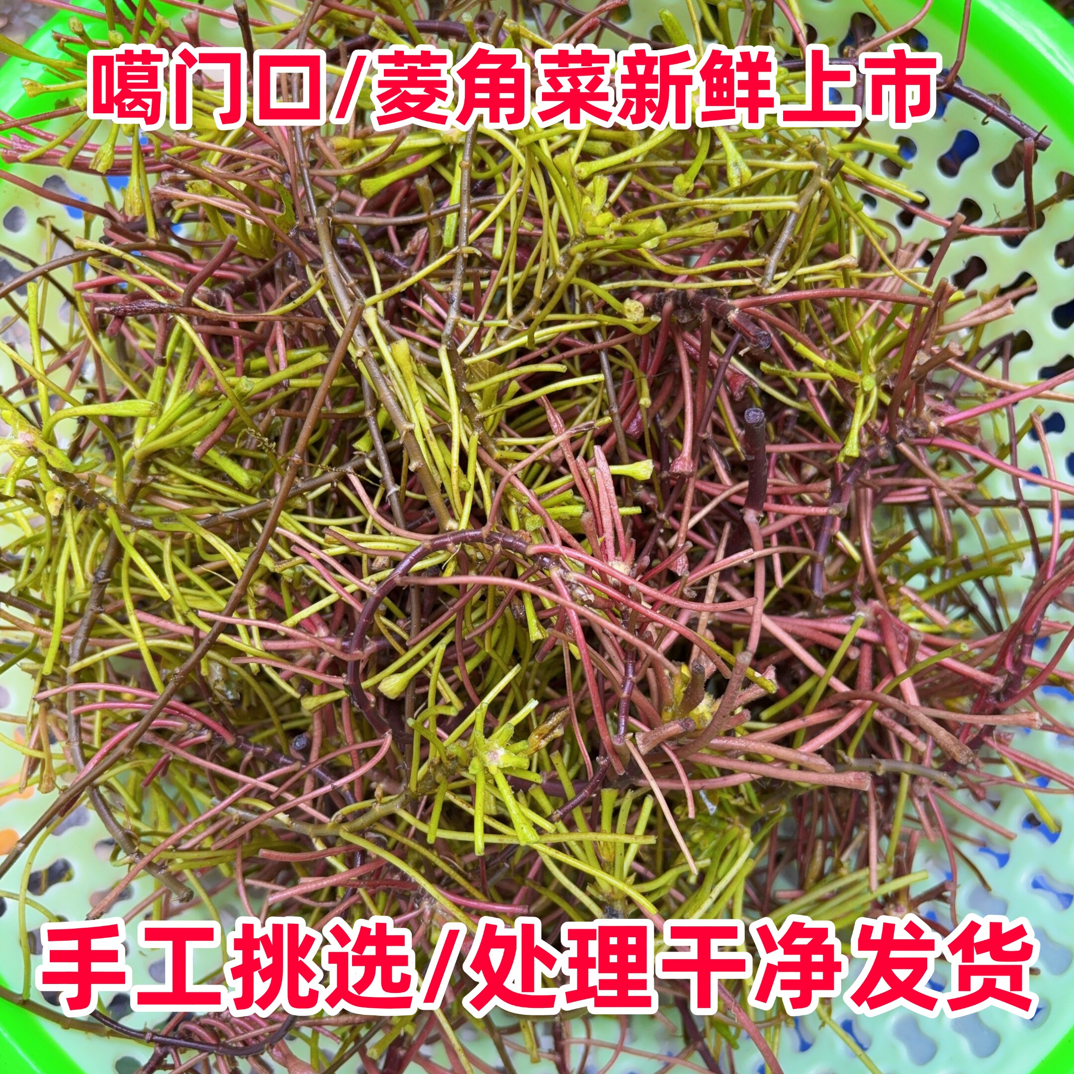 菱角菜安徽无为特产凉菜新鲜采摘水生榨菜野生棱角水生菱角菜腌菜