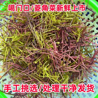 菱角菜安徽无为特产凉菜新鲜采摘水生榨菜野生棱角水生菱角菜腌菜