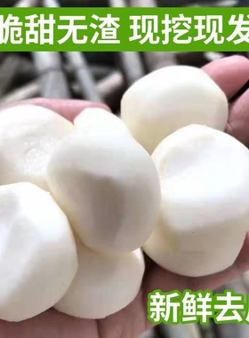 去皮马蹄荸荠新鲜大果开袋即食清脆爽口脆甜蔬菜水果新鲜现挖现发
