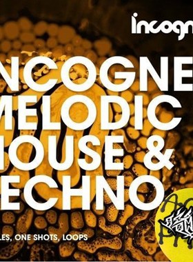 极速科技电子编曲Melodic Housze & Techno鼓组旋律分轨素材包WAV