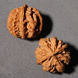 极速文玩核桃h原色秦岭灯笼狮子头手盘捻迷你包浆把件菊花刺纹粗