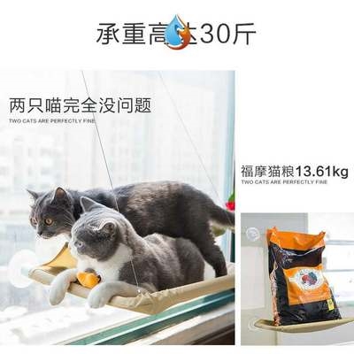 極速新款 貓睡覺床懸掛耐用秋冬貓咪窩床吊床寵物窩 貓窩墻上k掛式