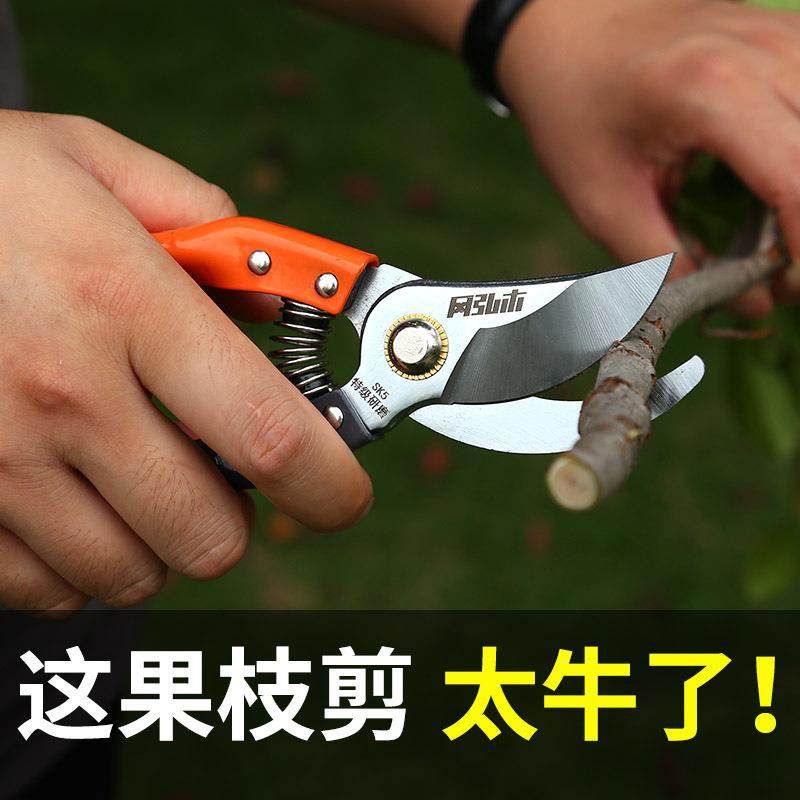剪枝剪子SK5果树修枝剪刀园艺花艺剪刀专用园林果枝修枝剪省力剪