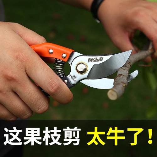 剪枝剪子SK5果树修枝剪刀园艺花艺剪刀专用园林果枝修枝剪省力剪