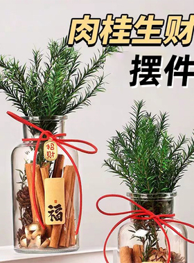 肉桂生财摆件招财玻璃瓶花瓶diy材料包客厅财神位工位办公室搬家
