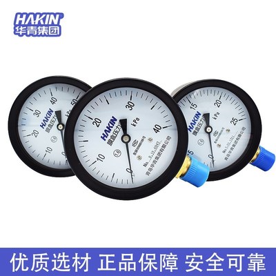 AKINH岛华青膜压耐力表气表千帕表不煤锈钢震盒膜盒青压力表YE100