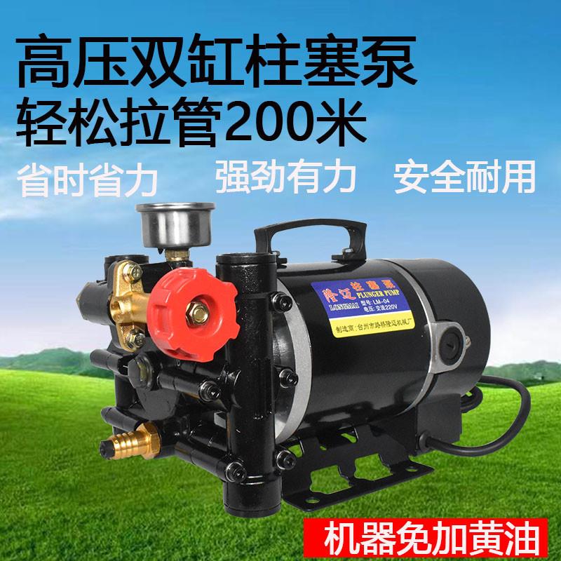 隆迈手提式喷药机农用电动果树喷雾器12v60v24v220伏双缸柱塞泵