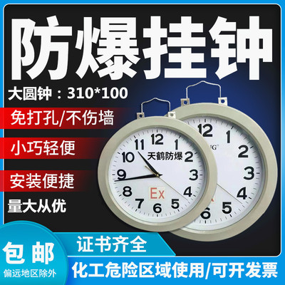 防爆石英钟防爆挂钟 防爆钟表化工制药厂专用 防爆电子钟BSZ矿用