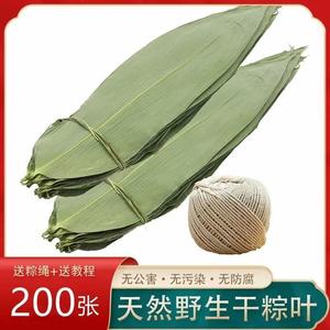 干粽叶特大号粽子叶免邮新鲜麻竹叶商家用箬叶批发包粽子材料送绳
