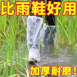 下雨天防水耐磨长筒透明鞋 塑料脚套雨鞋 套加厚一次性防滑防雨高筒
