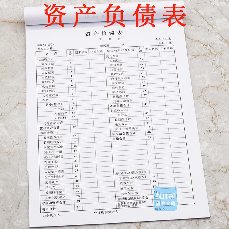 立信财务报表 16K资产负债表 会计负债报表 财务资产负债表 25张