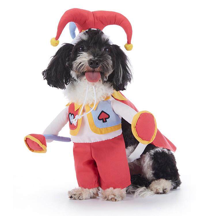 cos小丑万圣宠物衣服蝙蝠南瓜四季搞笑卡通狗狗衣服宠物狗狗