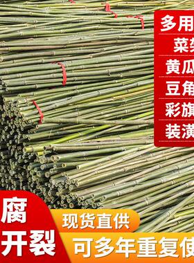 竹杆菜园搭架竹子户外豆角黄瓜西红柿支架杆蔬菜瓜果豇豆爬藤旗杆