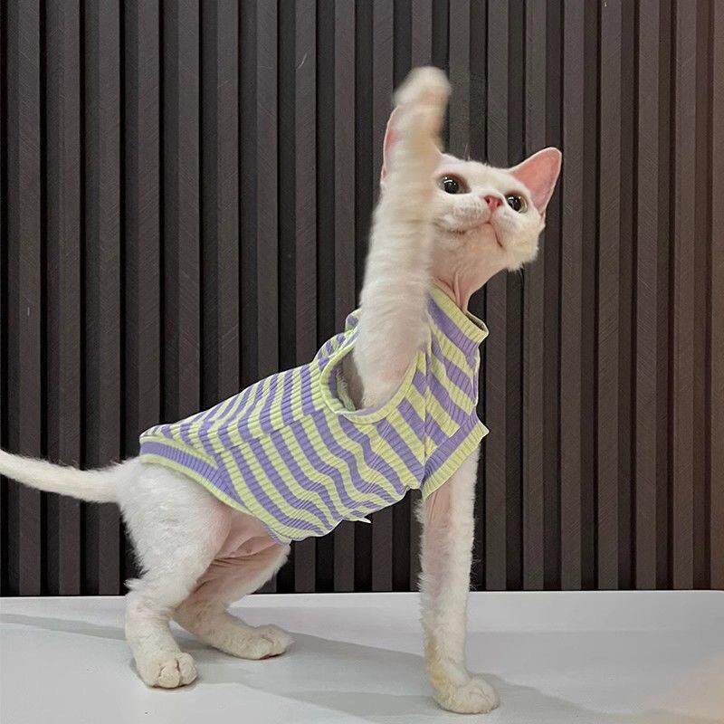 无毛猫衣服德文斯芬克斯条纹空调服防掉毛透气弹背心宠物猫猫咪