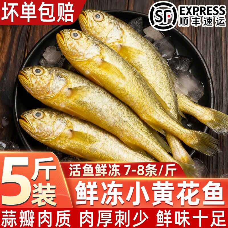 新鲜冷冻小黄花鱼活鱼鲜冻5斤烧烤小黄鱼整箱商用水产活鱼速冻