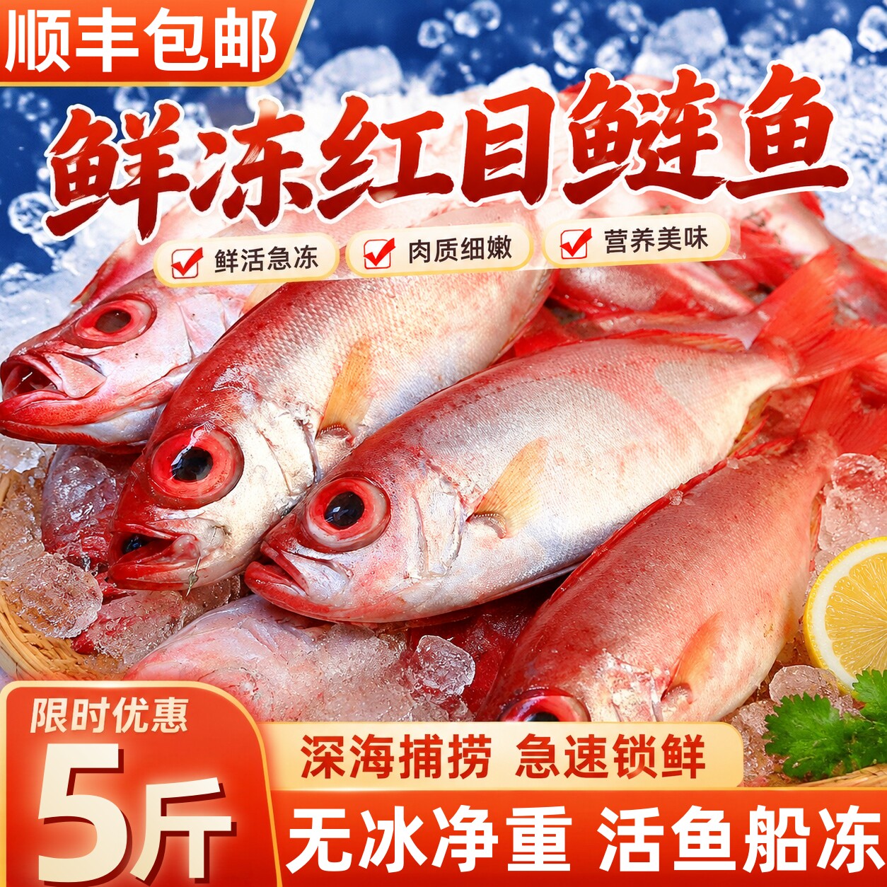 北海无冰鲜冻红目鲢鱼