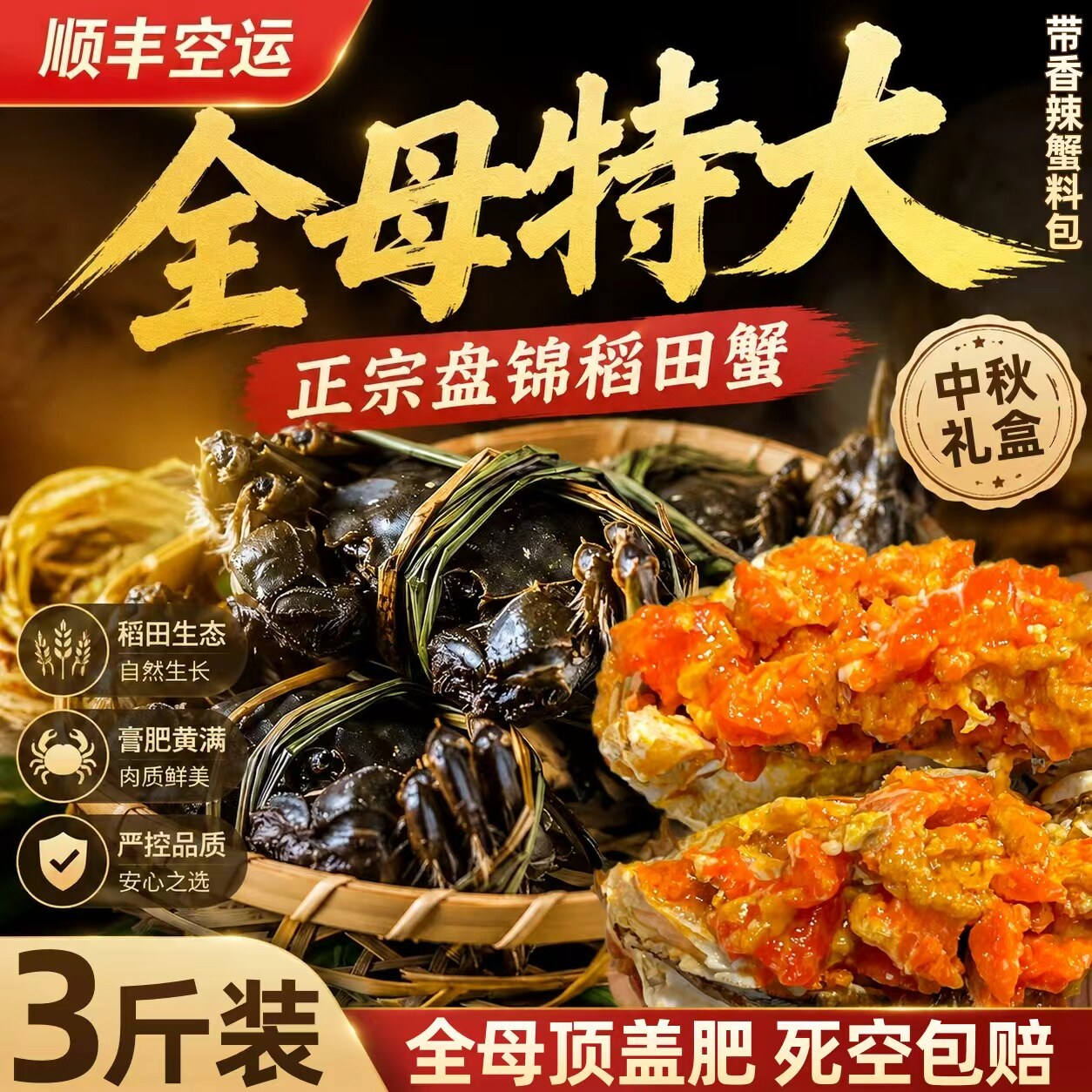 全母蟹稻田蟹盘锦河蟹大闸蟹鲜活现抓盘锦特产河蟹大闸蟹活蟹新货