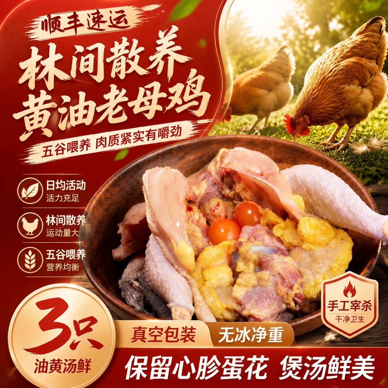 黄油老母鸡散养冷冻整鸡批发