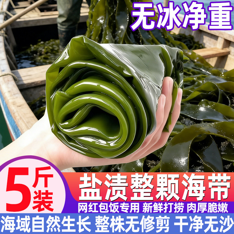 大连盐渍整颗海带火锅凉拌煲汤