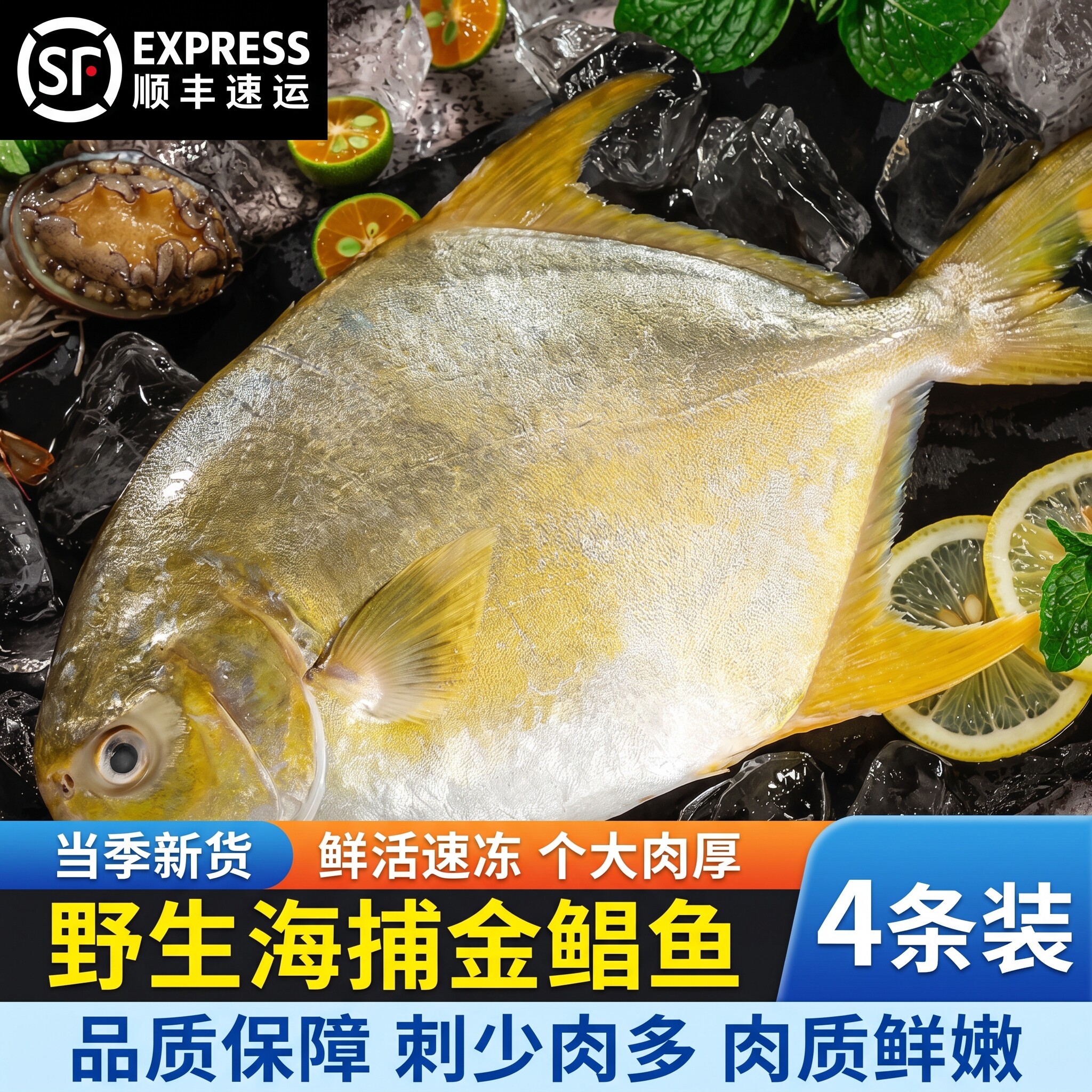 野生海捕速冻金鲳鱼批发