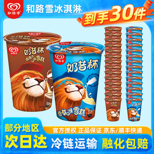 和路雪冰淇淋奶昔杯雪糕巧克力香草冰激凌冰糕冰棒冷饮童年回忆