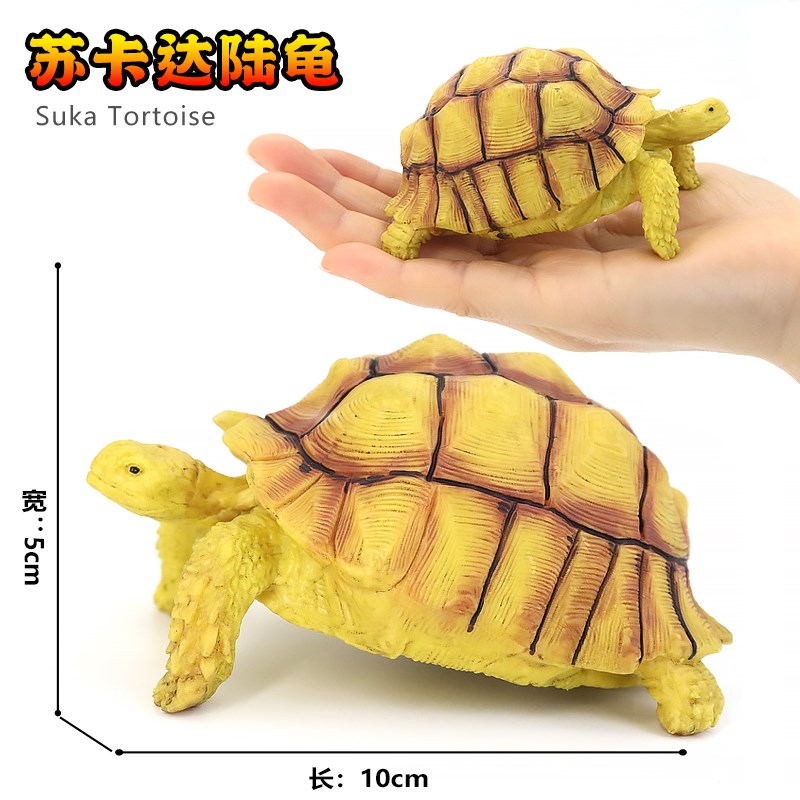 实心陆龟模型玩具鳄龟苏卡达乌龟大全龟龟象星摆件儿新品