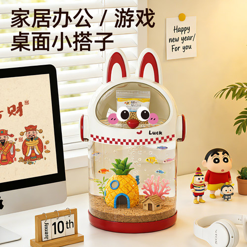 2026新款透明桌面小型生态缸