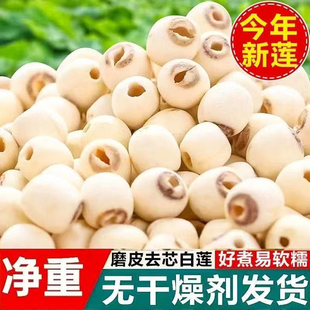 白莲子干货大粒去芯磨皮特莲去心白莲无心500g湖南特产通心包邮
