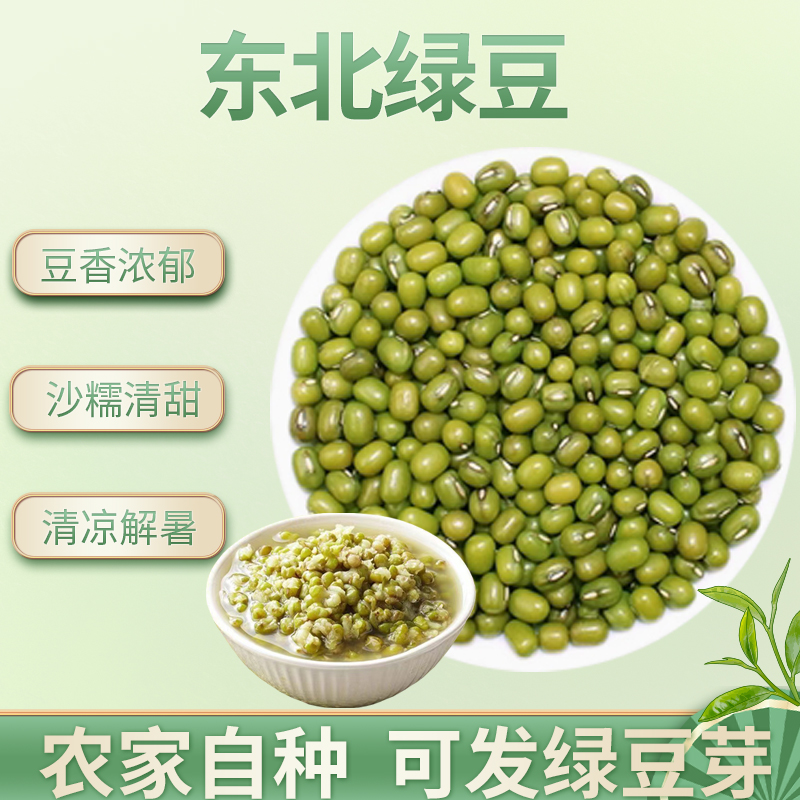东北新货绿豆易沙易煮农家新货自种特产新鲜绿豆皮薄煲粥煲汤糕点